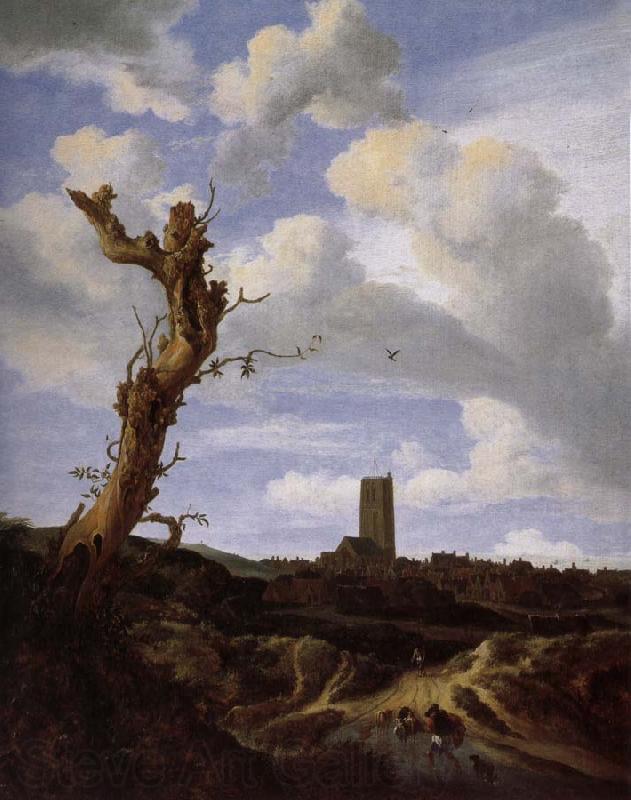 Jacob van Ruisdael View of Egmond aan Zee with a Blasted Elm France oil painting art